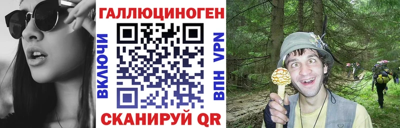 МЕГА ссылка  купить закладку  Челябинск  Псилоцибиновые грибы Psilocybe 
